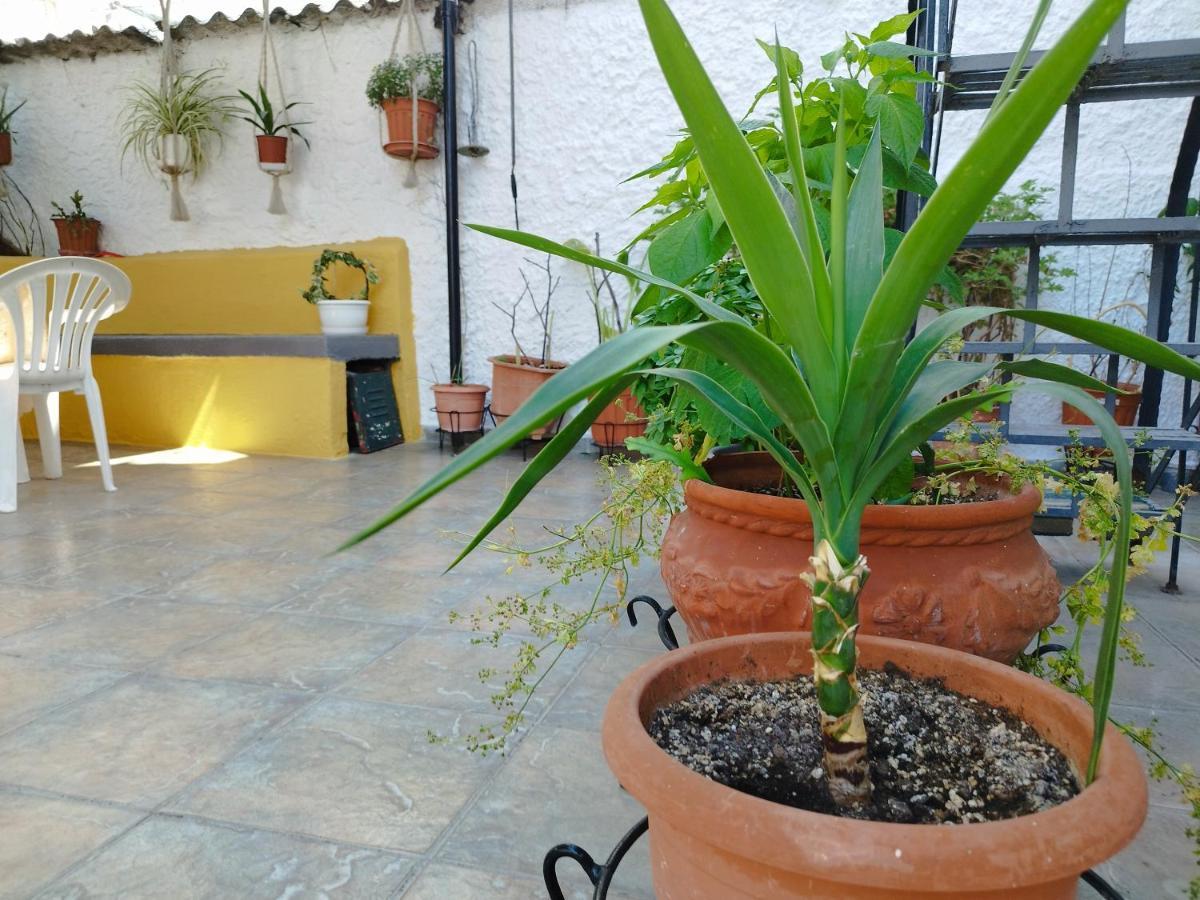 Voulas Guest House Volos Exterior photo